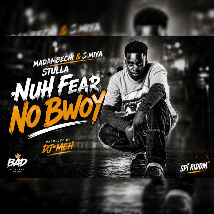 Song Cover